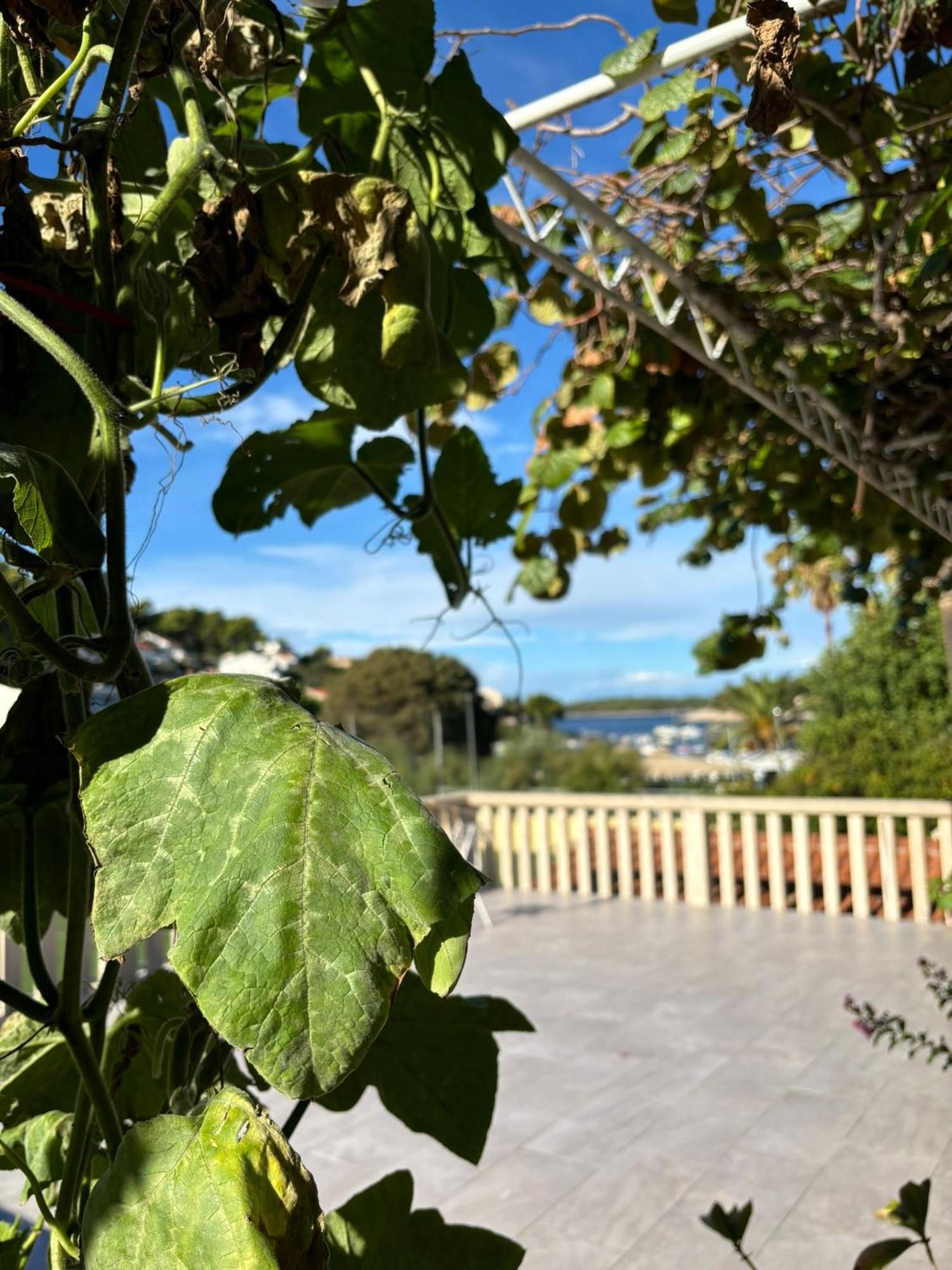 Apartments Fora - Hvar 赫瓦尔 外观 照片